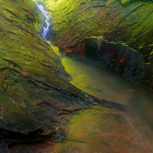 Turkey Run State Park